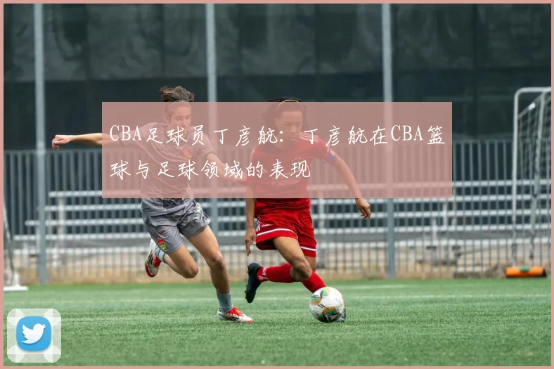 CBA足球员丁彦航：丁彦航在CBA篮球与足球领域的表现